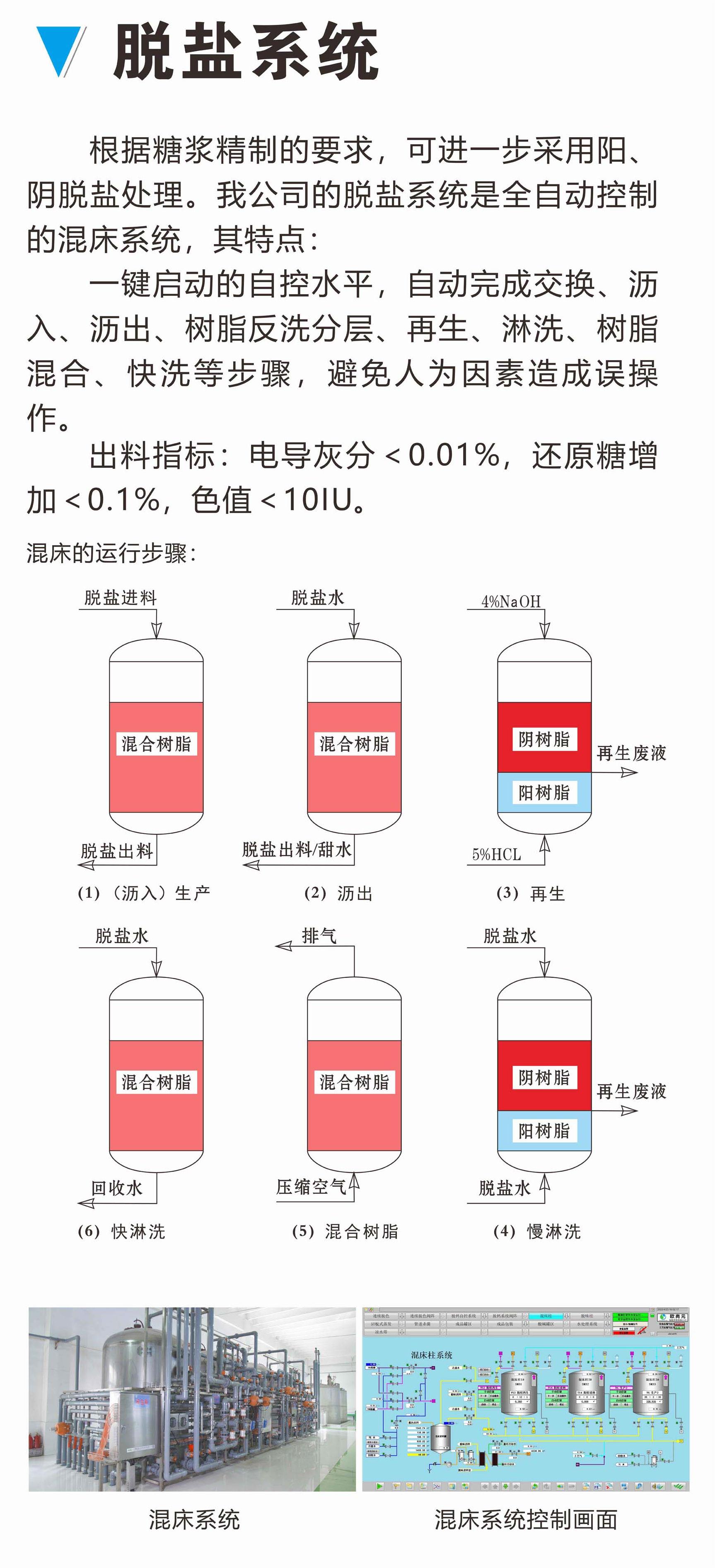 脱盐系统(1).jpg